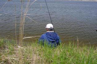 春天钓鱼爆料最新消息,揭秘最新爆料，钓鱼爱好者不容错过的春季钓鱼攻略